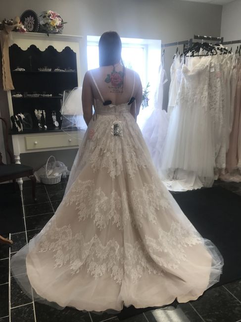 Dress decisions: what about the back? - 1