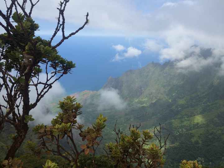 Suggestions for Hawaii