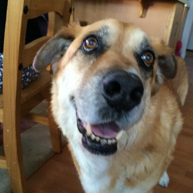 NWR- New puppy friend! Update!