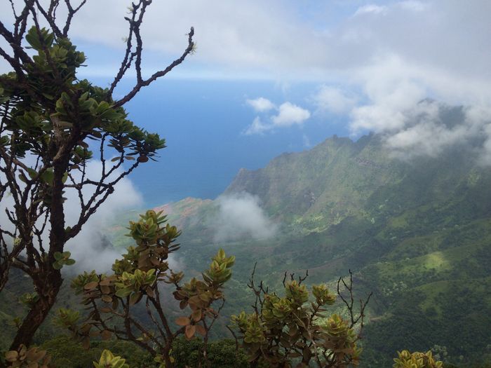 Suggestions for Hawaii