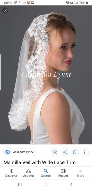 Veils for a dress with a cape? photos or suggestions? 7
