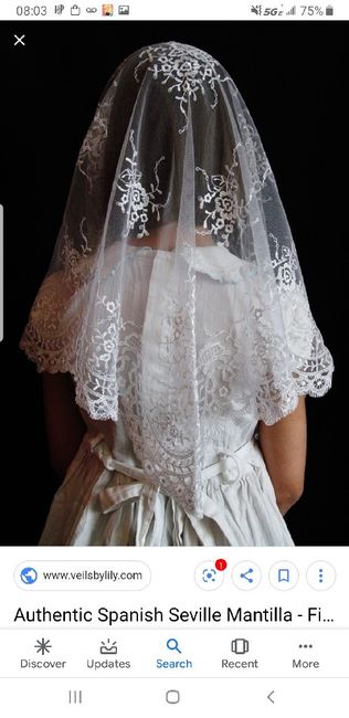 Veils for a dress with a cape? photos or suggestions? 9