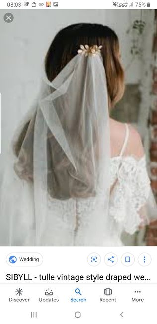 Veils for a dress with a cape? photos or suggestions? 10