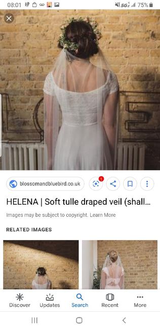 Veils for a dress with a cape? photos or suggestions? 11