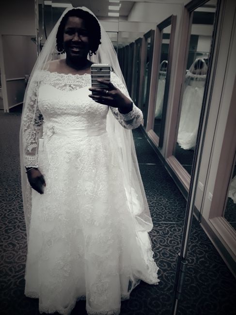  Show me your plus sized bridesmaid dresses! - 1
