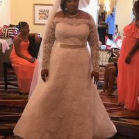 bam non pro version - 3