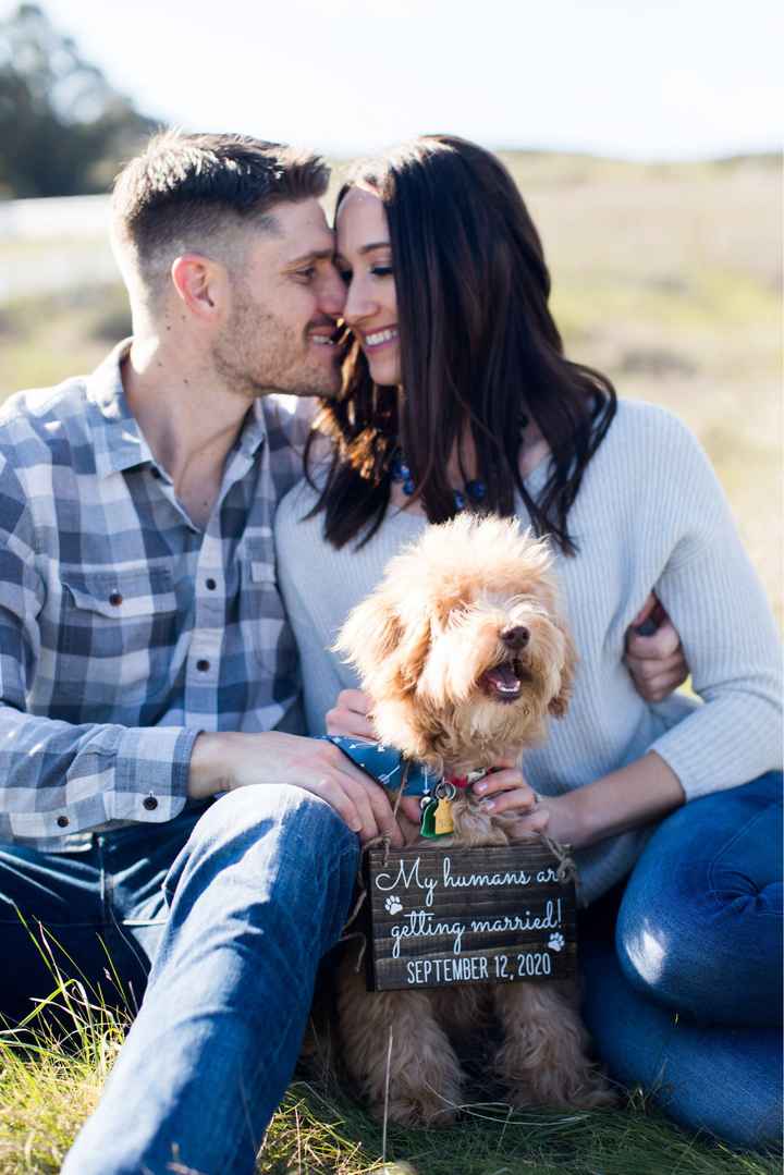 Show me your engagement photos! - 3