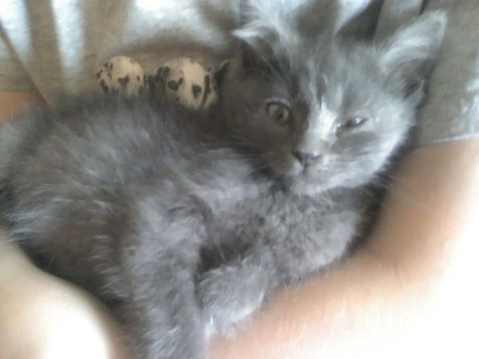 My new fur babies!