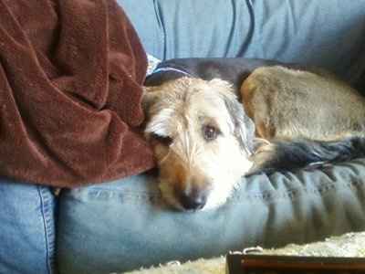 Who the heck does this??