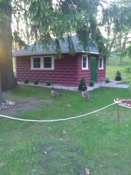 found a great location to have our pro pics taken *pic heavy*