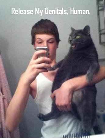 Mrs S ... We need to start another funny Cat thread!