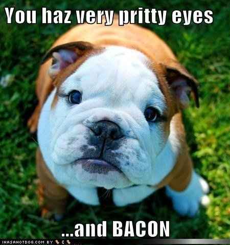 Mrs S ... We need to start another funny Cat thread!