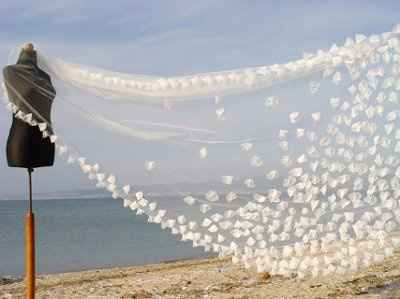 found my veil!!!!