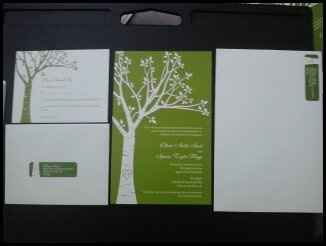 So I finally ordered my invitations and got them today, so exciting! YAY for Groupon and Vistaprint 