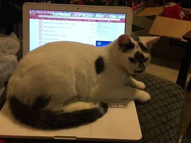 NWR: post pics of your pets!!