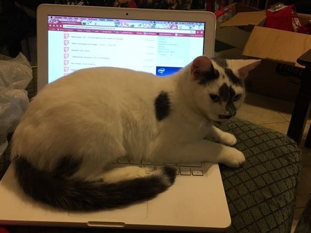NWR: post pics of your pets!!