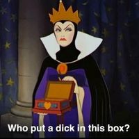 Mrs S ... We need to start another funny Cat thread!