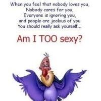 Mrs S ... We need to start another funny Cat thread!