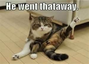 Friday Animal Humor