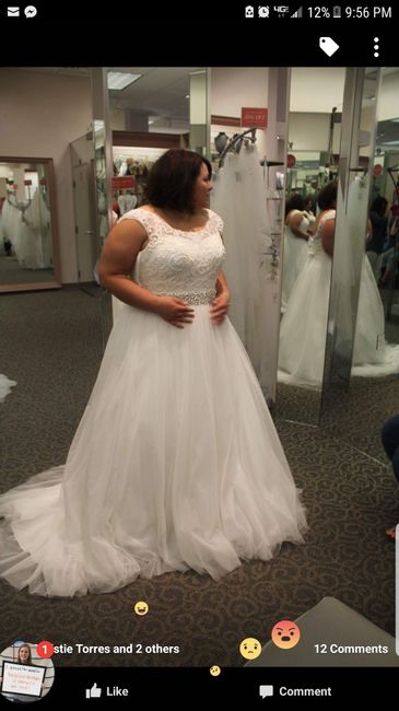 Plus size bride