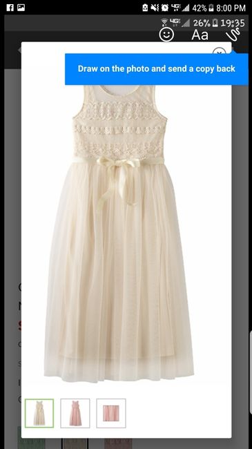 Help with flower girl dresses