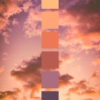 Fall 2023 wedding - 1