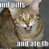 =) So....last night was fun.....