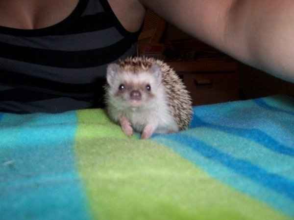 Furbabies (to lighten the mood)