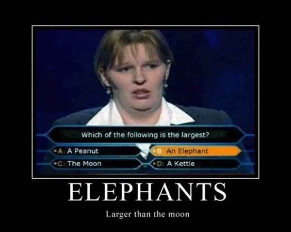 Funny picture I wanted to share!