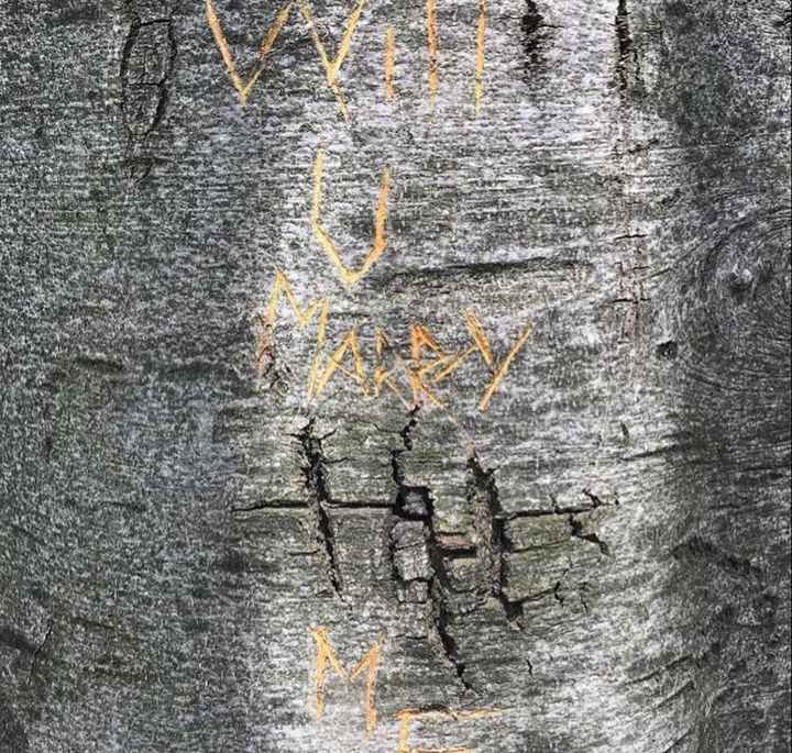 Share your proposal story! 💍 - 1