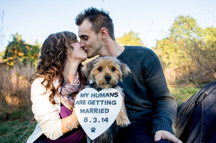 I just got all of my engagement pictures!!!!! (more pics- warning cuteness overload lol)