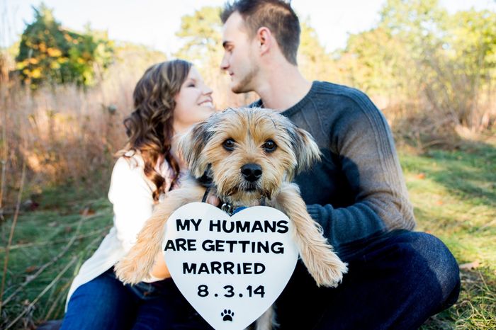 I just got all of my engagement pictures!!!!! (more pics- warning cuteness overload lol)