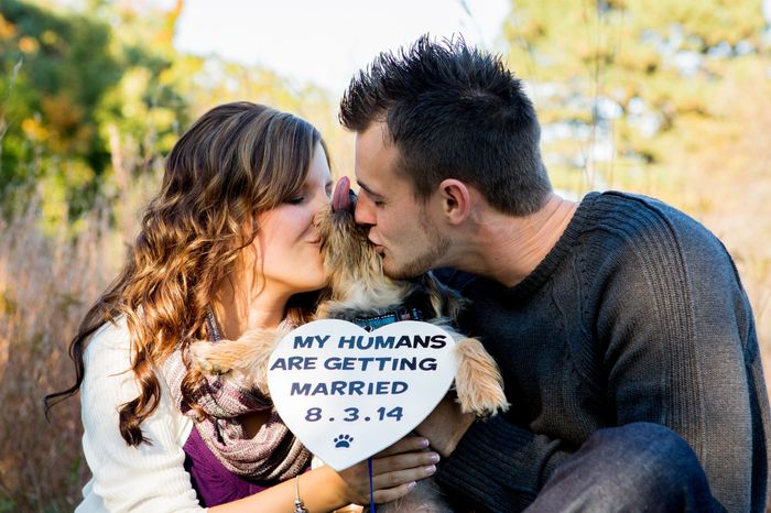 I just got all of my engagement pictures!!!!! (more pics- warning cuteness overload lol)