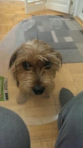 I'm in need of a post like this! {POST YOUR PICS!}