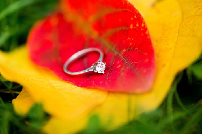 Ring pics!