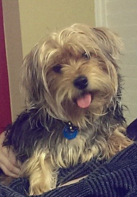 NWR:  Fur Babies