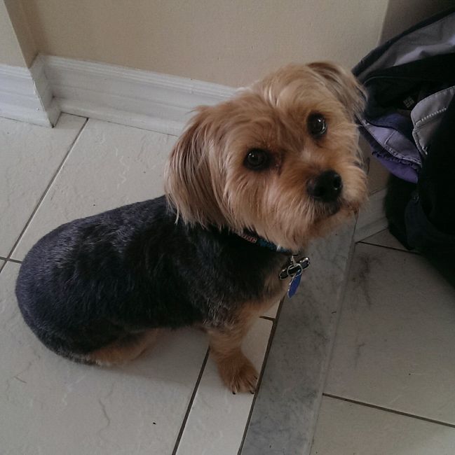 Show me your fur baby! (it has been awhile and I love seeing the pets!)