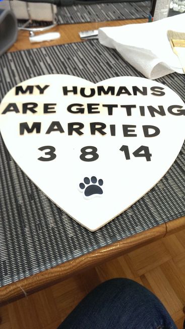 which one looks better? - engagement shoot sign