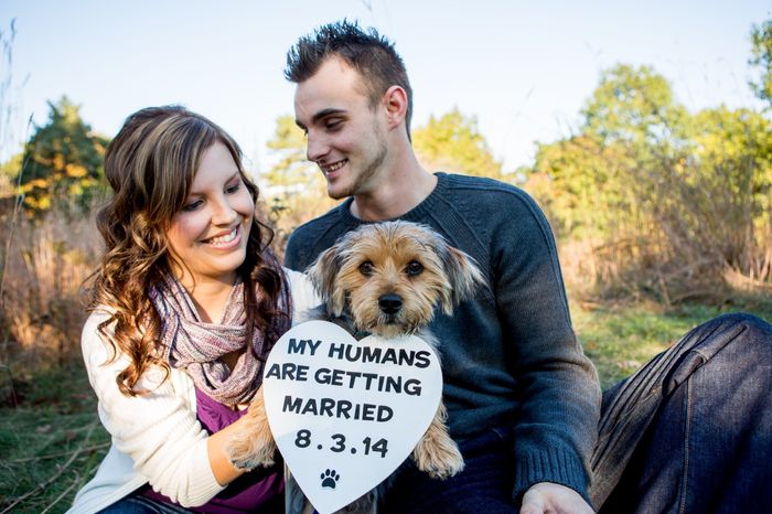 I just got all of my engagement pictures!!!!! (more pics- warning cuteness overload lol)