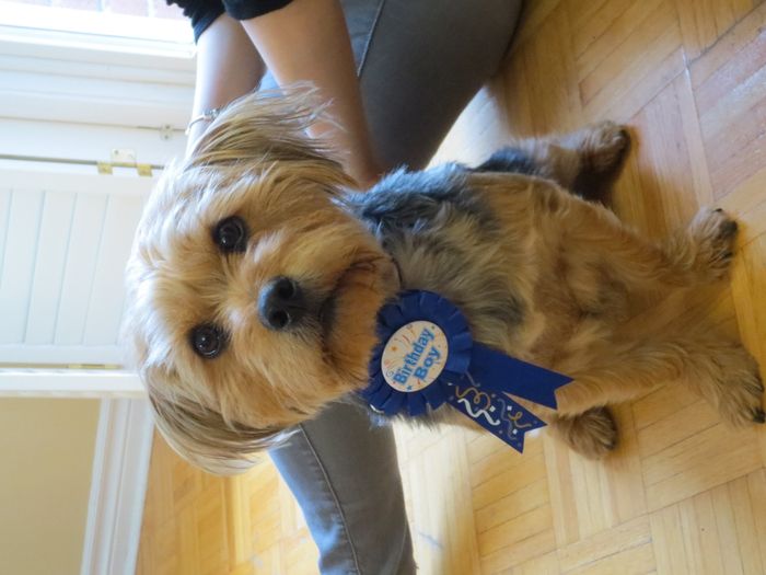 NWR-Huxley's First Birthday! (pics of course)