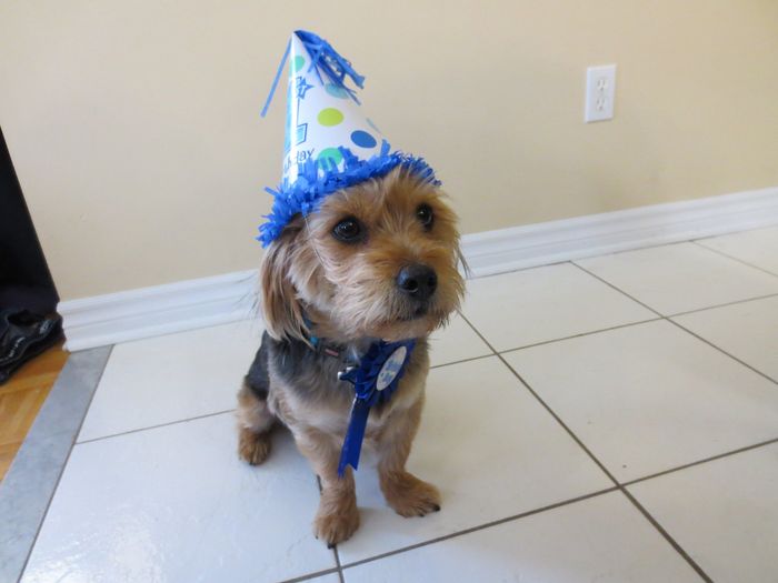 NWR-Huxley's First Birthday! (pics of course)