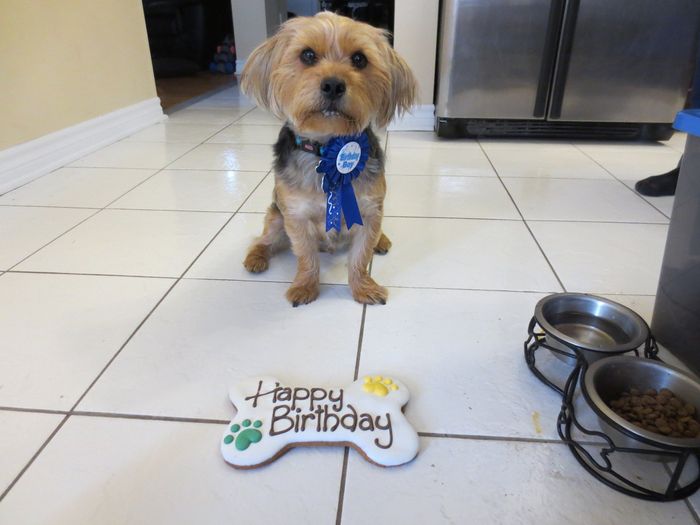 NWR-Huxley's First Birthday! (pics of course)