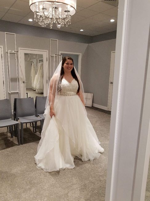 Show me your David's Bridal Dresses - 1