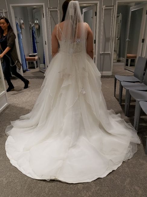 Show me your David's Bridal Dresses - 2