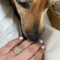 Brides of 2022! Show us your ring! - 1
