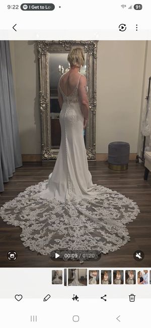 Jasmine's dress - back view