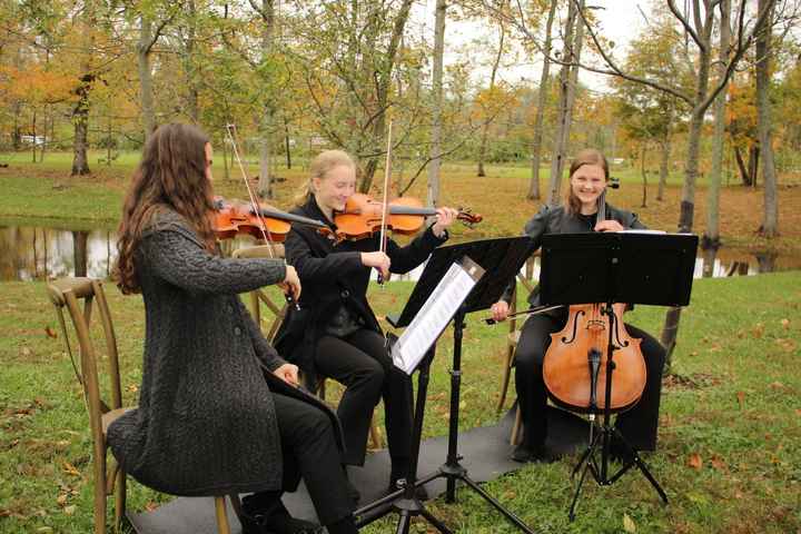 10.28 Semi Pro Flower Farm BAM (pic heavy in comments)!