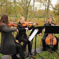 10.28 Semi Pro Flower Farm BAM (pic heavy in comments)!