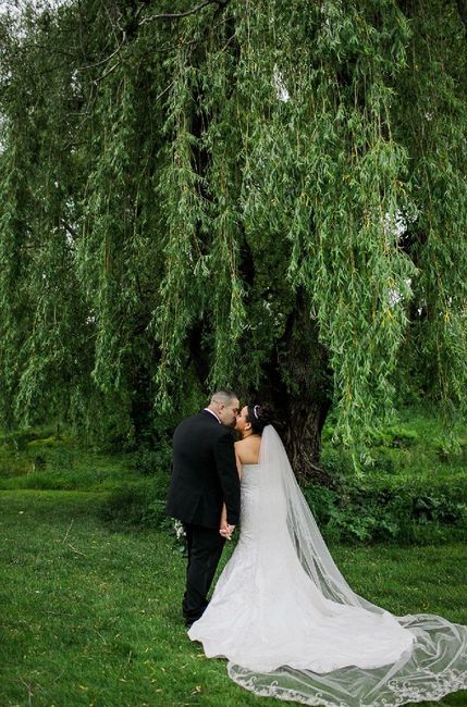 We did it 5/25/19!  Pic Heavy 2