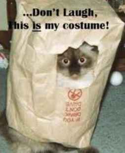 Halloween Memes!!!